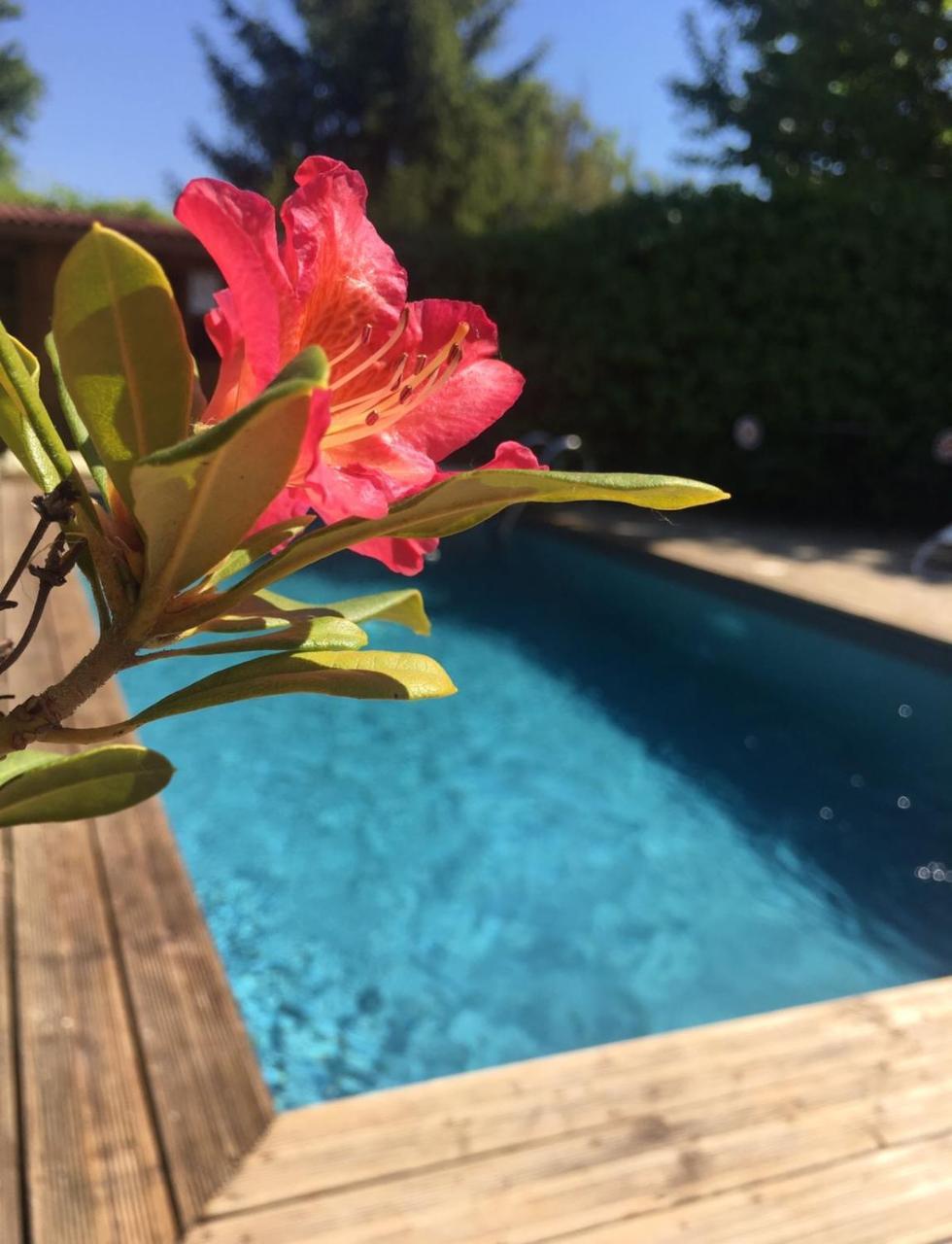 Le Temps Des Pauses Hotel Viviers ภายนอก รูปภาพ